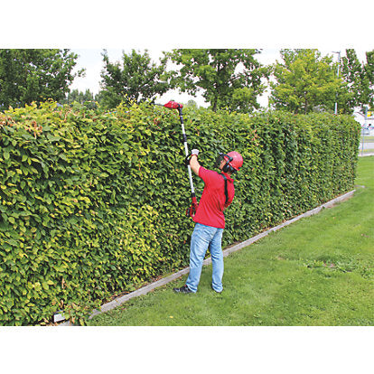 Einhell Power X-Change 18V High Reach Hedge Trimmer & Pruner Kit