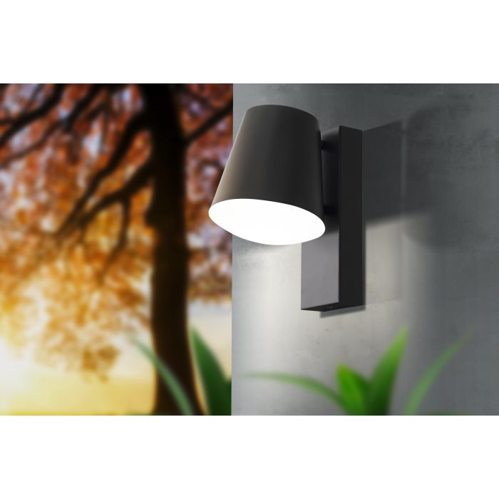 CALDIERO Outdoor Wall Light