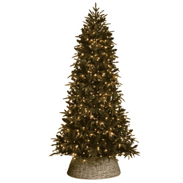 Firefly Pre-lit Christmas Tree 240cm 600 Lights