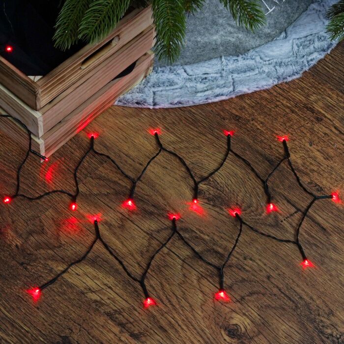 50 Battery Operated Berry LED Lights w/Timer