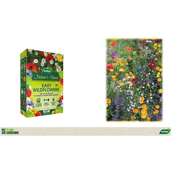 Natures Haven Easy Wildflower Mix Box