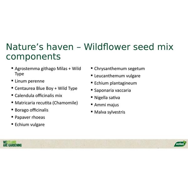 Natures Haven Easy Wildflower Mix Box