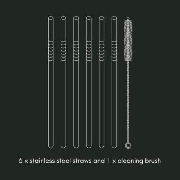 Barware 6pce Long Steel Drinking Straws Gift