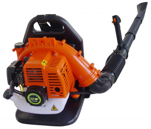 Protool Knapsack 43cc Leaf Blower – Smyth's Homevalue